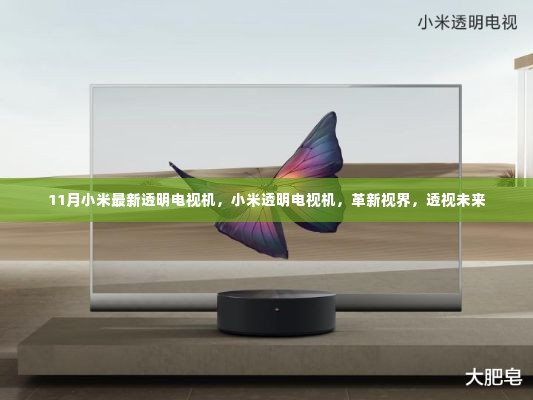 小米全新透明电视机,视界革新,透视未来科技新纪元
