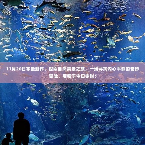 11月20日零时启程,自然美景探索之旅,内心平静的奇妙冒险