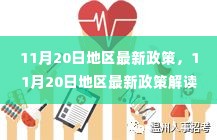 11月20日地区最新政策解读与执行步骤指南