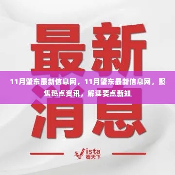 11月肇东最新热点资讯解读,聚焦信息热点,解读要点新知