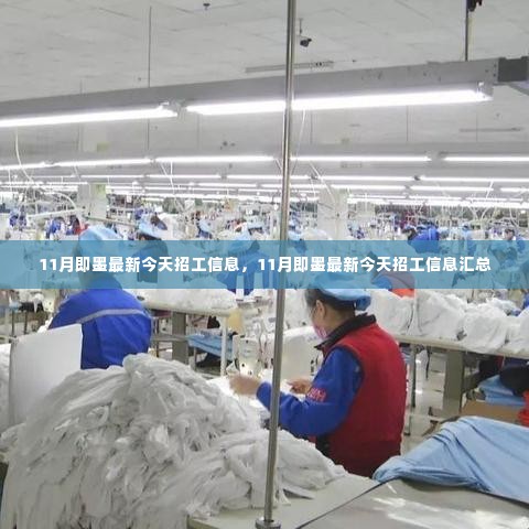 11月即墨最新招工信息汇总,今日最新岗位一览表