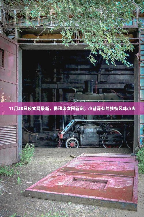 揭秘废文网新宠,小巷深处的独特风味小店(最新更新11月20日)