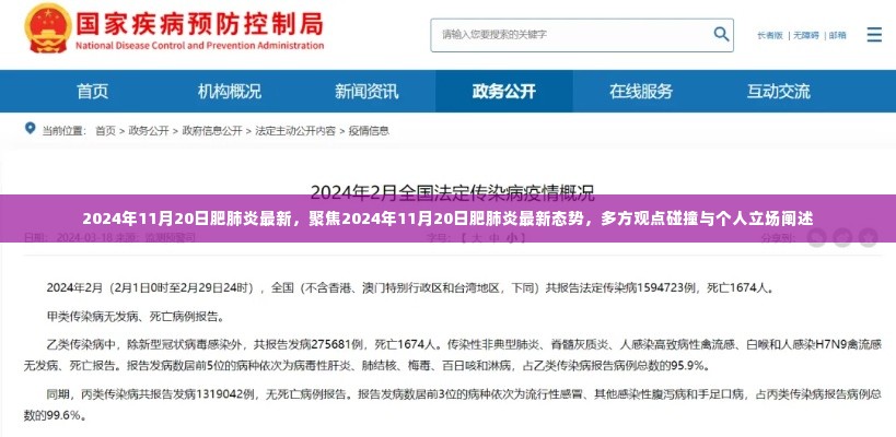 2024年11月20日肥肺炎最新态势,多方观点碰撞与个人立场阐述