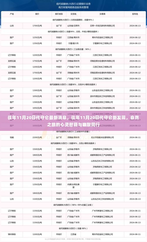 代守仑的新发现与心灵之旅的独特体验,自然之旅的慰藉与幽默相伴