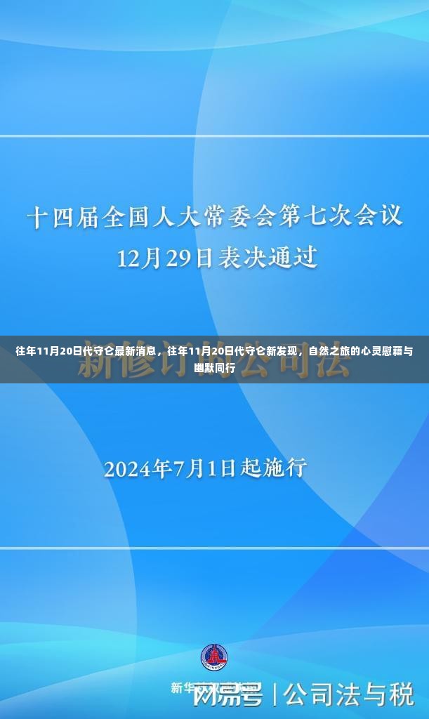 代守仑的新发现与心灵之旅的独特体验,自然之旅的慰藉与幽默相伴