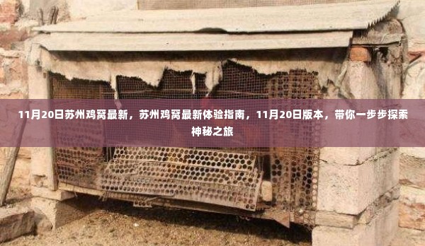 揭秘苏州鸡窝,最新体验指南与神秘之旅(11月20日版)