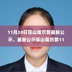 保山组织部最新公示流程详解,11月20日公示任务步骤解析