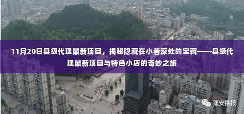 县级代理最新项目揭秘,宝藏小店奇妙之旅