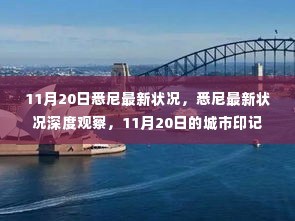 11月20日悉尼城市印记,深度观察最新状况