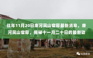 揭秘唐河凤山官邸最新动态,十一月二十日的消息与深远影响