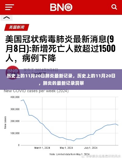 历史上的肺炎记录洞察,揭秘11月20日的最新记录与洞察
