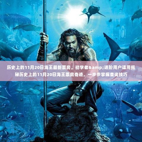 揭秘历史票房奇迹,海王在11月20日的票房数据揭秘与查询技巧分享给初学者与进阶用户!