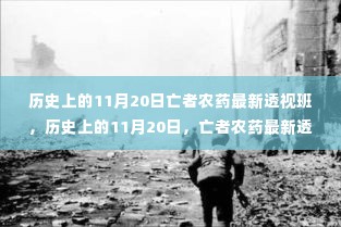 历史上的11月20日,亡者农药最新透视班——变化中的自信与成就感之源