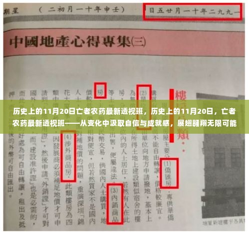 历史上的11月20日,亡者农药最新透视班——变化中的自信与成就感之源