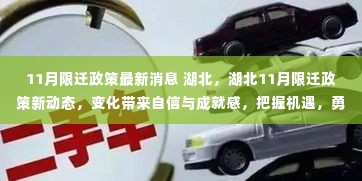 湖北11月限迁政策最新动态,变化带来机遇与挑战,自信前行勇攀行业高峰