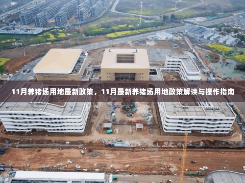 11月养猪场用地政策解读及操作指南,最新政策速递与深度分析