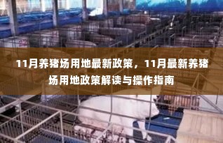 11月养猪场用地政策解读及操作指南,最新政策速递与深度分析