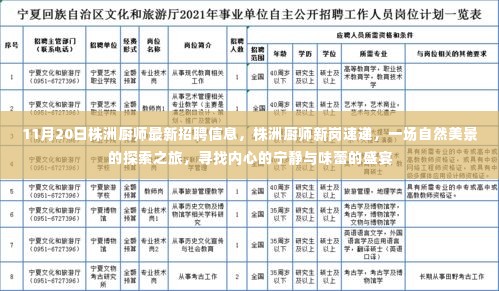株洲厨师最新招聘信息速递，自然美景之旅与味蕾盛宴的探寻，宁静内心的召唤