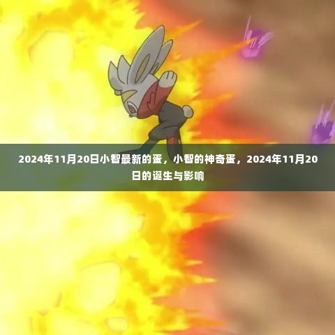 小智最新神奇蛋的诞生，2024年11月20日的诞生与影响揭秘
