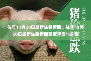 往年11月20日最新生猪新闻深度解析与介绍