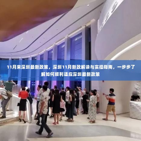 深圳11月新政解读与实操指南,顺利适应深圳最新政策的步骤