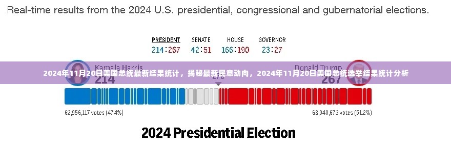 揭秘民意动向,2024年11月20日美国总统选举最新结果统计分析报告出炉!