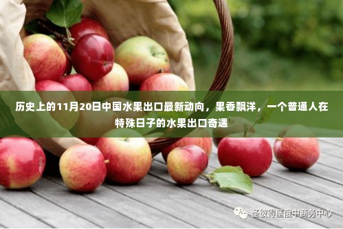 果香跨越万里,普通人见证中国水果出口新动向的奇遇日纪实