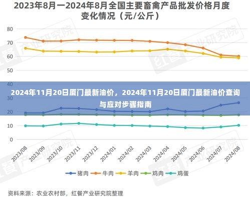 2024年11月20日厦门油价更新及应对步骤指南