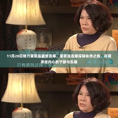 董明珠11月20日直播探秘自然之旅,寻找内心的宁静与乐趣