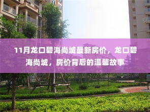 龙口碧海尚城最新房价揭秘,房价背后的温馨家园