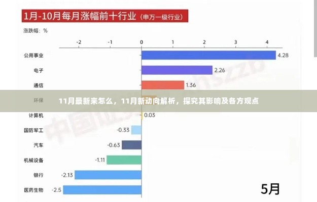 11月新动向解析,影响及各方观点探讨