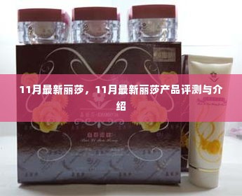 11月最新丽莎产品评测与介绍，全面了解丽莎新品特性