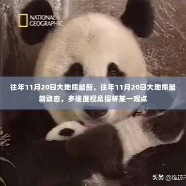 多维视角下的深度探析,大地熊最新动态与观点解析(往年11月20日更新)