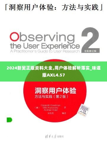 2024新奥正版资料大全,用户体验解析落实_味道版AXL4.57