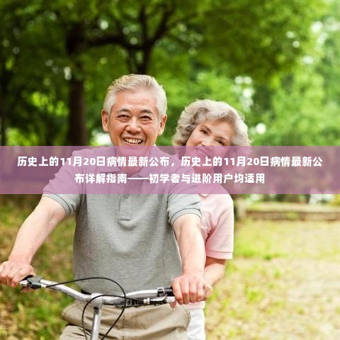 历史上的11月20日病情最新公布详解指南,适合初学者与进阶用户