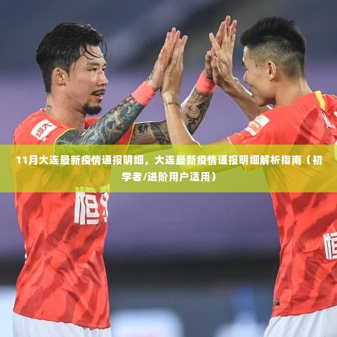 11月大连最新疫情通报详解,初学者与进阶用户的疫情解析指南
