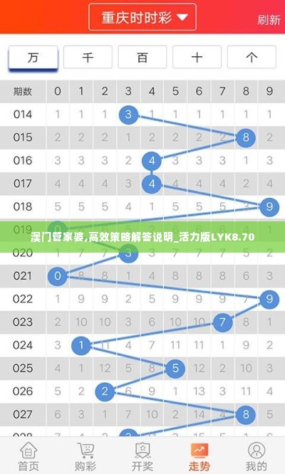 澳门管家婆,高效策略解答说明_活力版LYK8.70