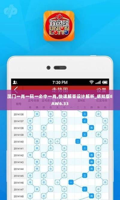 澳门一肖一码一必中一肖,快速解答设计解析_感知版EAW6.33