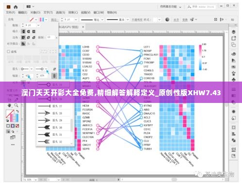 澳门天天开彩大全免费,精细解答解释定义_原创性版XHW7.43