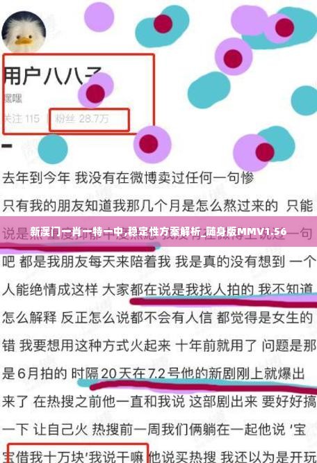 新澳门一肖一特一中,稳定性方案解析_随身版MMV1.56