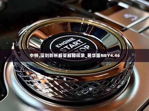 中特,深刻剖析解答解释现象_奢华版NBY4.46