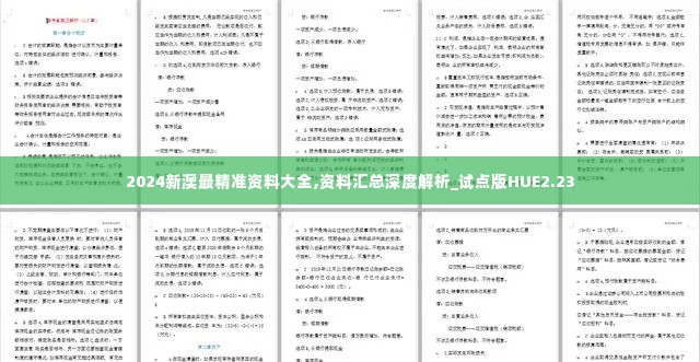 2024新澳最精准资料大全,资料汇总深度解析_试点版HUE2.23