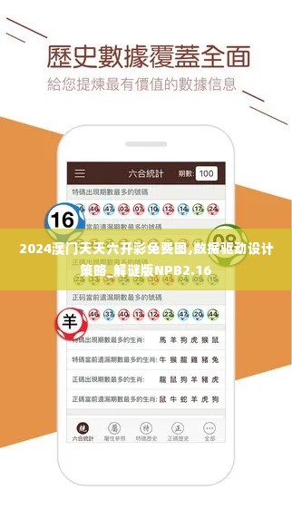 2024澳门天天六开彩免费图,数据驱动设计策略_解谜版NPB2.16