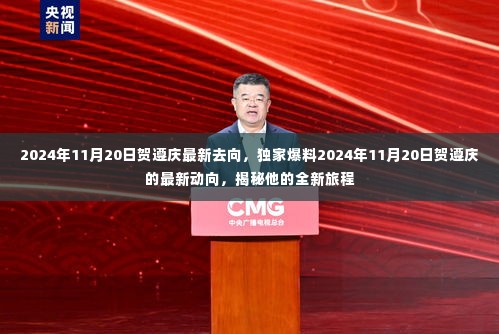 独家揭秘,贺遵庆最新动向——揭秘他的全新旅程(2024年11月20日更新)