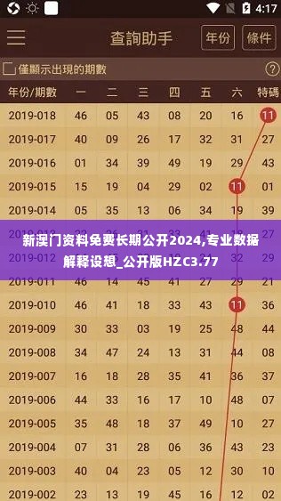 新澳门资料免费长期公开2024,专业数据解释设想_公开版HZC3.77