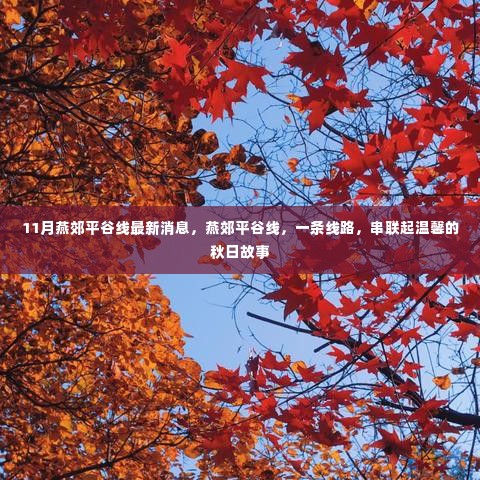 燕郊平谷线最新进展揭秘,秋日故事中的线路进展与温馨串联