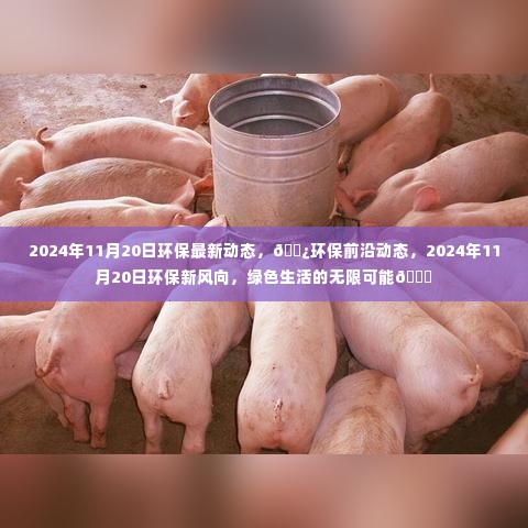 2024年11月20日环保前沿动态,绿色生活的未来展望