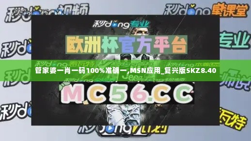 管家婆一肖一码100%准确一,MSN应用_复兴版SKZ8.40