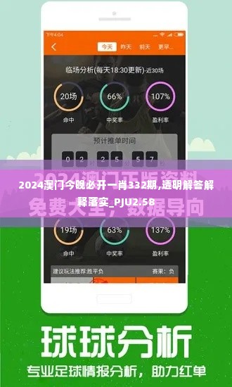 2024澳门今晚必开一肖332期,透明解答解释落实_PJU2.58