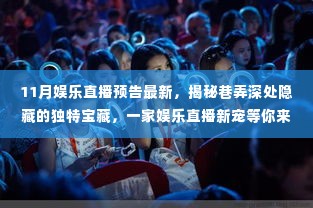 十一月巷弄深处的娱乐直播宝藏,揭秘新宠,直播预告重磅来袭!